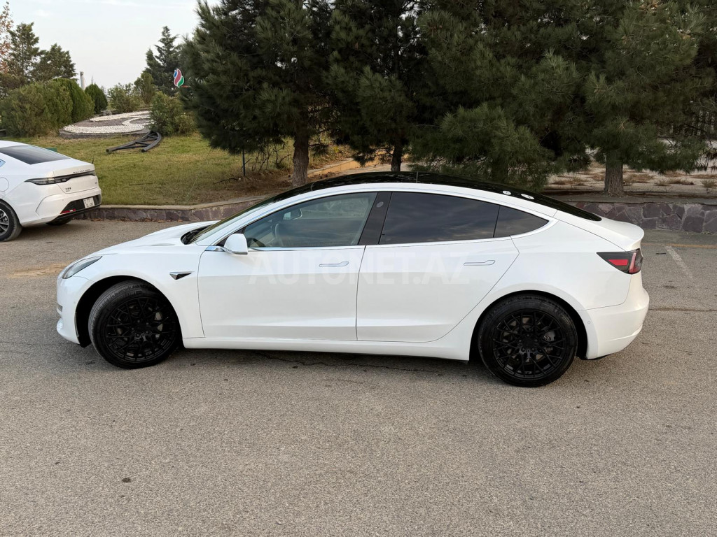Tesla Model 3 2019