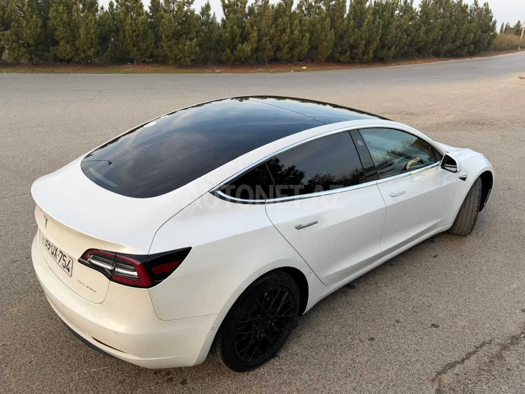 Tesla Model 3 2019