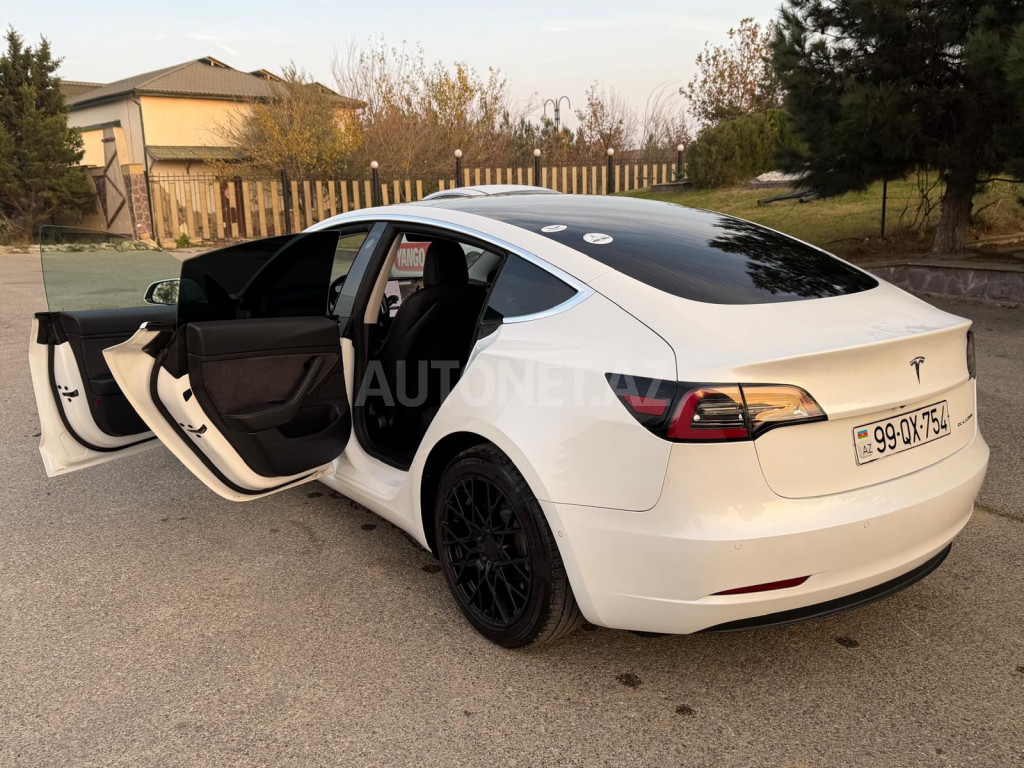 Tesla Model 3 2019