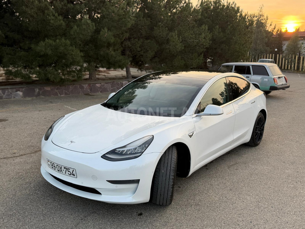Tesla Model 3 2019