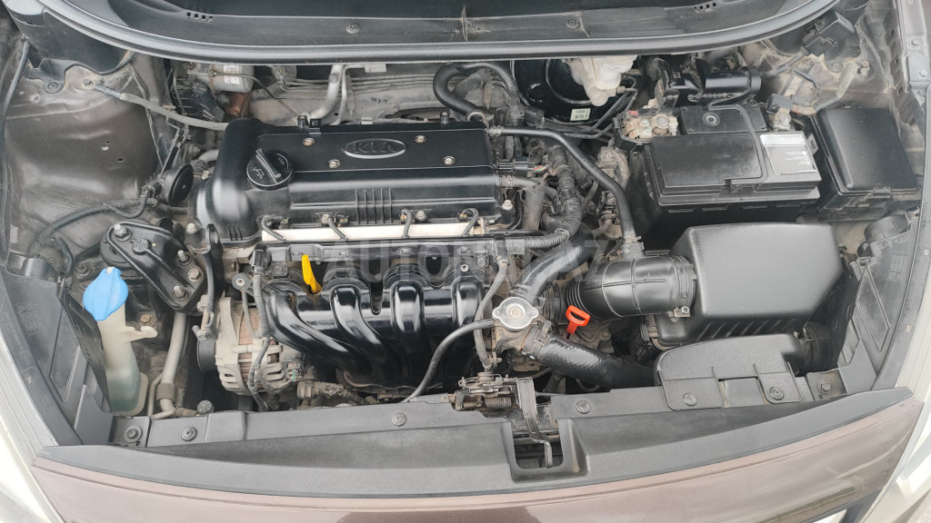 Kia Rio 2012