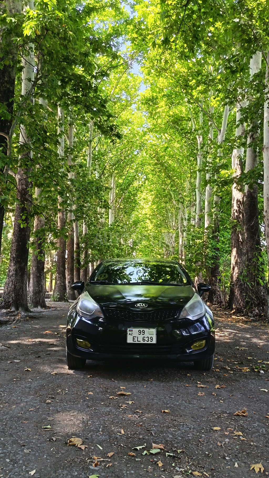Kia Rio 2012
