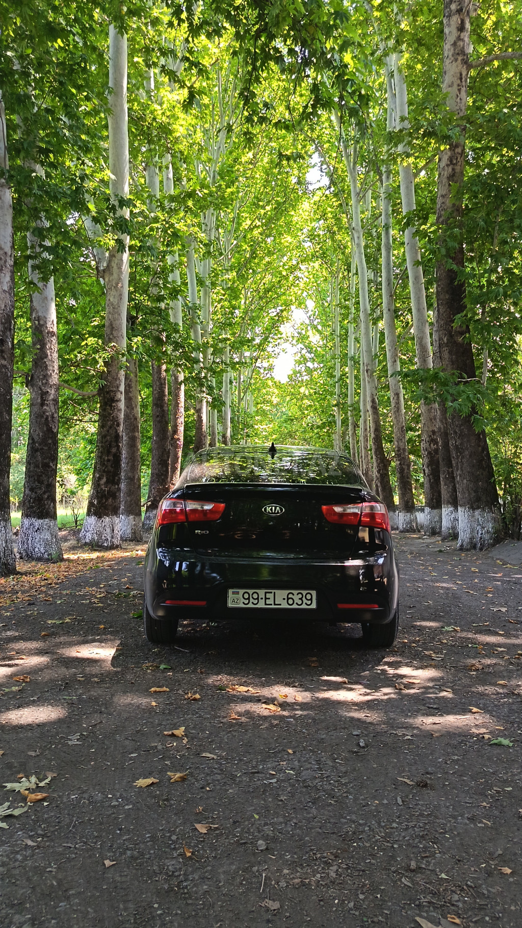 Kia Rio 2012