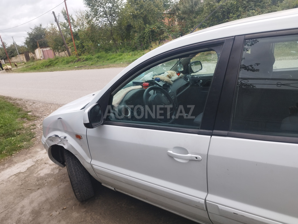 Ford Fusion 2010